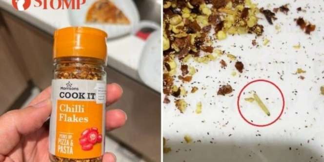 Sekeluarga Makan Pizza di Resto Terkenal, Sudah Habis Separuh Baru Lihat Banyak Belatungnya