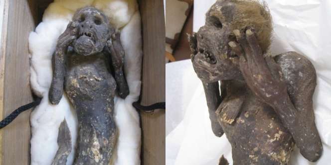 Misteri Putri Duyung Berusia 300 Tahun Akhirnya Terungkap