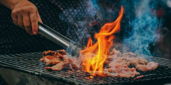 Inilah Arti Mimpi Makan Ular yang Sering Dianggap Sebagai Pertanda Buruk