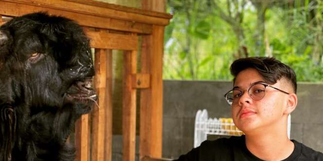 5 Potret Mantan Artis Cilik Baim Sekarang jadi Juragan Kambing Kontes
