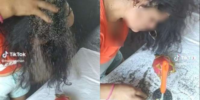 Merinding! Rambut Wanita jadi Sarang Kutu, Sekali Kibas Rontok Kayak Pasir