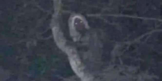 Presiden Meksiko Unggah Foto Makhluk Halus Usai Kunjungi Kampung Suku Maya, Ternyata Hantu dari Indonesia