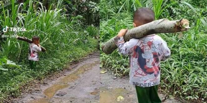 Video Haru Bocah Berkaos Spiderman Panggul Kayu Ini Ajarkan Arti Kerja Keras