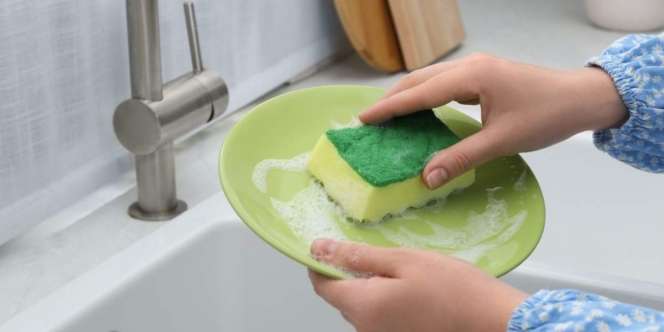 Mengandung Banyak Kuman, Pastikan Ganti Spons dengan Rutin