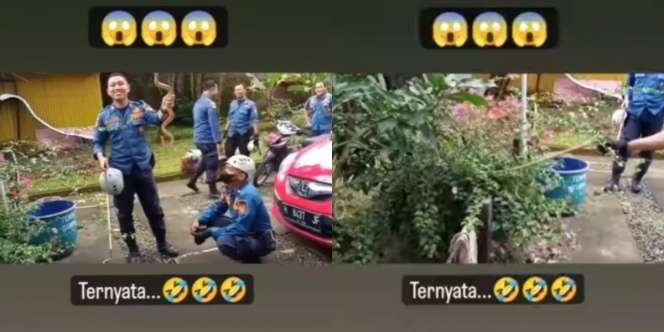 Emak-emak Panik Ketakutan Ada Ular di Pekarangan, Lapor Petugas Damkar, eh Pas Dicek Ternyata...