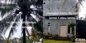 Bikin Bingung Tetangga, Rumah Viral Setinggi Pohon Kelapa Ini Punya 1 atau 2 Lantai?