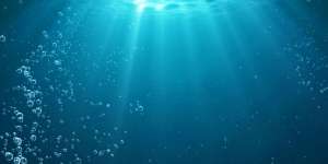 Habiskan 100 Hari Hidup di Bawah Laut, yang Terjadi Setelah Itu...
