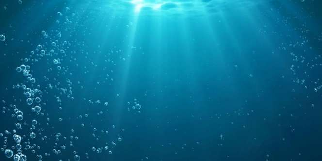 Habiskan 100 Hari Hidup di Bawah Laut, yang Terjadi Setelah Itu...