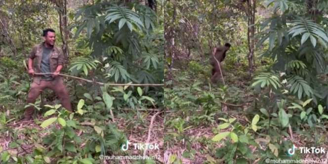 Biasa Taklukkan Ular King Cobra, Ternyata Panji Petualang Lari Terbirit-birit Lihat Binatang Imut Ini