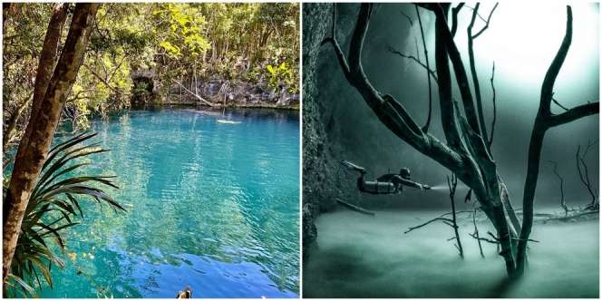 Keberadaan Sungai di Bawah Laut, Fenomena Alam yang Ternyata Sudah Dijelaskan dalam Al-Quran