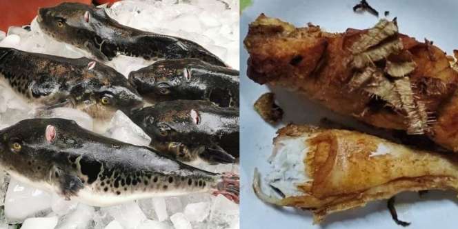Ibu Meninggal Usai Makan Siang dengan Ikan Buntal, Putri Sedih Tak Sempat Menengok Padahal Janji Ketemu Pas Mudik Lebaran