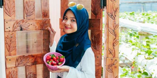 3 Cara Mencegah Buah Beri Mudah Busuk