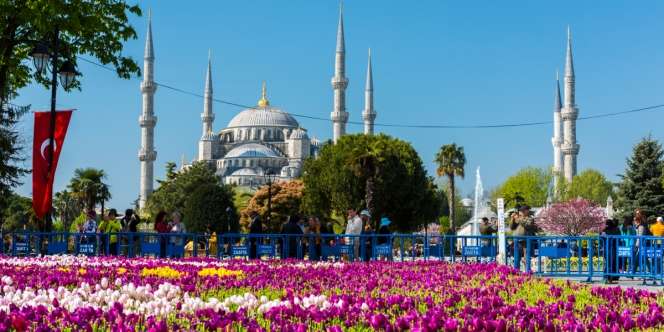 Menikmati Keindahan Bunga Tulip di Turki yang Bermekaran Tiap April, Serasa Berada di Surga Dunia