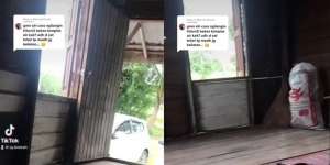 Transformasi Gubuk Kayu di Tengah Kebun Usai Direnovasi, Jadi Estetik, Serasa Vila Mewah di Bali