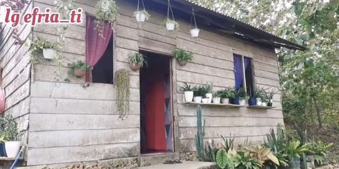 Dari Luar Tampak Rumah Kayu Biasa, Dalamnya Bikin Takjub, Ternyata Mirip Istana Barbie, Ini 10 Potretnya