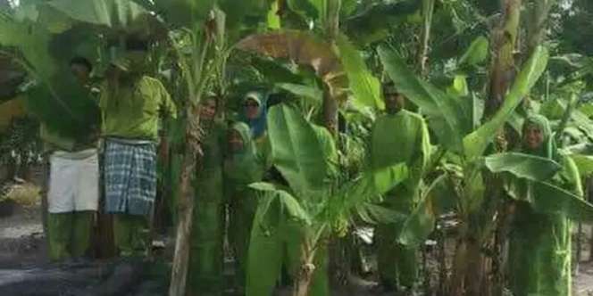 Viral Sekeluarga Pakai Outfit Lebaran Menyerupai Daun Pisang, Bisa Tebak Ada Orang yang Ada di Foto?