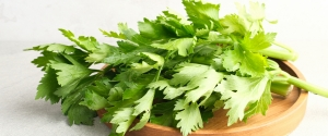 Seledri Awet Selalu Fresh dan Harum, Cari Tahu Cara Menyimpannya