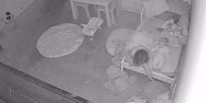 Anak 6 Tahun Tidur Sendirian Tapi Terus Bilang Ada Banyak Orang, Ibu Menangis Saat Lihat CCTV