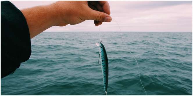 Doa Nabi Sulaiman untuk Memancing Ikan agar Hasil Tangkapan Melimpah