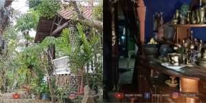 Potret Rumah Unik di Tengah Hutan, Desainnya Tak Biasa, Pemilik Simpan Banyak Barang Antik!