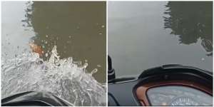 Momen Motor Jadul Terobos Banjir, Pengendara Lain Cuma Bisa Melongo: Mau Heran Tapi Ini Supra