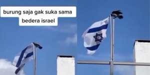 Viral Burung Gagak Copot Bendera Israel yang Terpasang di Tiang, Pertanda Apa?