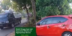 Viral Pernikahan Mewah di Tuban, Bawa Seserahan Sapi, 5 Pikap Gabah, dan Mobil Rp400 Juta Bikin Netizen Minder: Jangan Sampai Calonku Lihat!