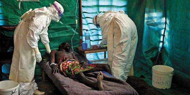 Waspada Virus Marburg, Asal Usul dan Jumlah Korban