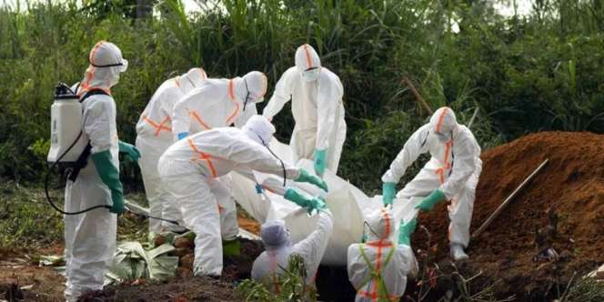 Waspada Virus Marburg, dari Afrika Bikin Was-was Dunia