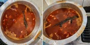 Akibat Bantah Perintah Ibu, 3 Kg Sambal Cumi Terbuang Percuma Usai Kejatuhan Kadal, yang Masak Auto Fobia