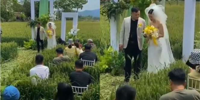 Viral Pernikahan Outdoor di Tengah Sawah, Letak Kursi Tamu Jadi Sorotan: Souvenirnya Obat Gatel