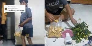 Butuh Cabai Buat Makan Gorengan, Malah Dibawa Satu Pohon