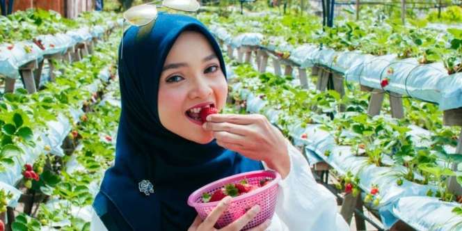 Konsumsi Rutin, Stroberi Bisa Bantu Pencernaan Lebih Sehat