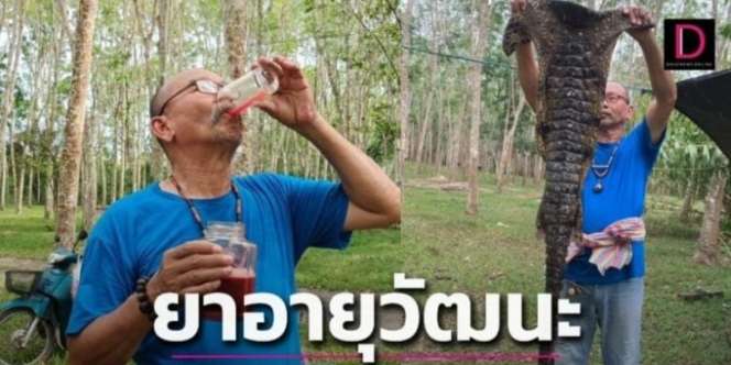 Ngeri Sekaligus Jijik! Si Kakek Percaya Darah Buaya Bikin Vitalitas Tubuhnya Tetap Prima, Bahkan Bisa Atasi Kemandulan, yang Terjadi Malah..