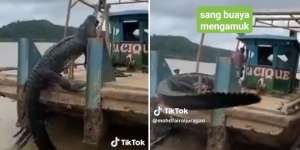 Viral! Video Perahu Mancing Buaya Muara Raksasa, eh Pancingnya Putus: Pemancingnya Auto Lari Sembunyi di Ruang Kemudi