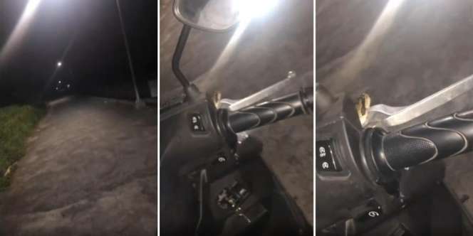 Awalnya Rasakan Geli di Tangan Saat Motoran Malam-malam, Pas Dicek Ternyata Ada Ular Ikut Nebeng Naik Motor di Depan