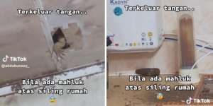 Penghuni Rumah Syok Lihat Tangan Berkuku Tajam Menggantung di Plafon, Setelah Dicek Ternyata Ada Makhluk Mengejutkan