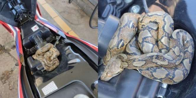 Pulang Kerja Motor Terasa Berat, Saat Isi Bensin Terungkap Penyebabnya Bikin Merinding
