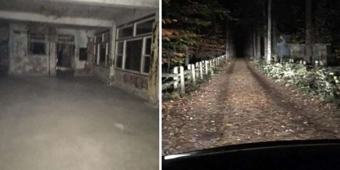 6 Foto Penampakan Makhluk Seram yang Bikin Kamu Merinding