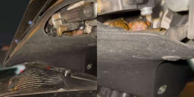 Body Motor Bergetar Bikin Penasaran Pengendara, Pas Dicek Ternyata Ada yang Gerak-gerak di Dalamnya, Makin Didekati Langsung Merinding