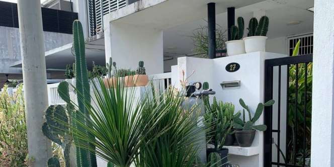 4 Potret Rumah Gemas, Kaktus Dijadikan Pelindung Privasi