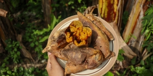 Kunci Mengolah Ubi Cilembu, Madunya Keluar dan Juicy