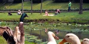 Bak di Eropa! Potret Taman Langsat 'Surganya' Para Konten Kreatif