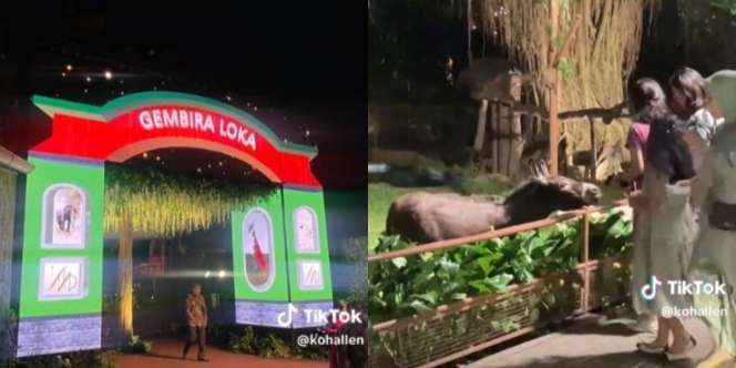 Viral Pernikahan Mewah Anak Bos Kebun Binatang: Undangan Dijemput Bus, Hiburannya Kasih Makan Hewan Koleksi