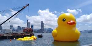 Cerita di Balik Munculnya Bebek Raksasa di Pelabuhan Hong Kong