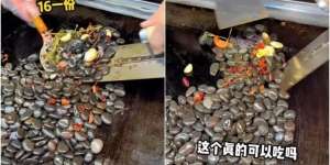 Viral Makanan Tumis Batu Kolam Berbumbu, Gimana Cara Makannya?