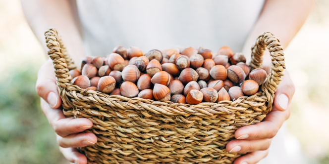 Viral di Medsos karena Dianggap Sama, Kemiri dan Hazelnut