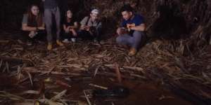 Ditemukan Ular Buntet Penunggu Hutan Bambu Dekat Sumur Tua, Dipercaya Bisa Terbang, Begini Reaksinya Saat Disentuh Panji Petualang