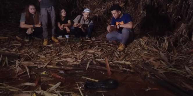 Ditemukan Ular Buntet Penunggu Hutan Bambu Dekat Sumur Tua, Dipercaya Bisa Terbang, Begini Reaksinya Saat Disentuh Panji Petualang