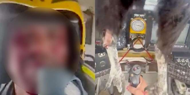 Detik-Detik Mendebarkan Burung Raksasa Tabrak Pesawat hingga Nyangkut di Kokpit, Pilot Tetap Santai Berhasil Mendarat dengan Selamat